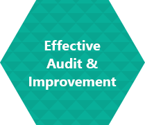Effect Audit & Improvement